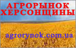 The Kherson region agro-market